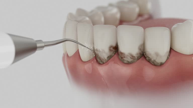 Reliable Dental contractor in San Juan Bautista, CA by Dentist Open Now